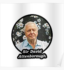 Sir David Attenborough Poster