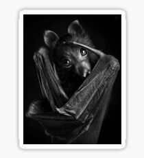 fruit bat Sticker