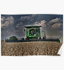 Cuttin' Beans Poster