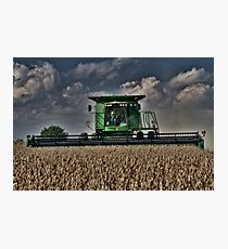 Cuttin' Beans Photographic Print