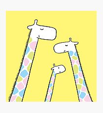 Giraffe family Photographic Print