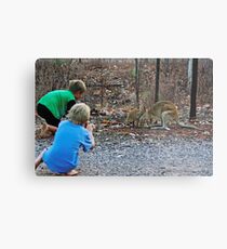 Children taking pictures of two wallabies Metal Print