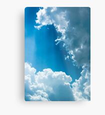Cloud Survey Metal Print