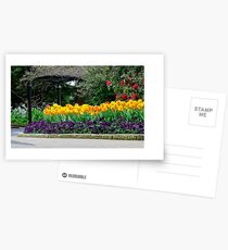 Untitled Postcards