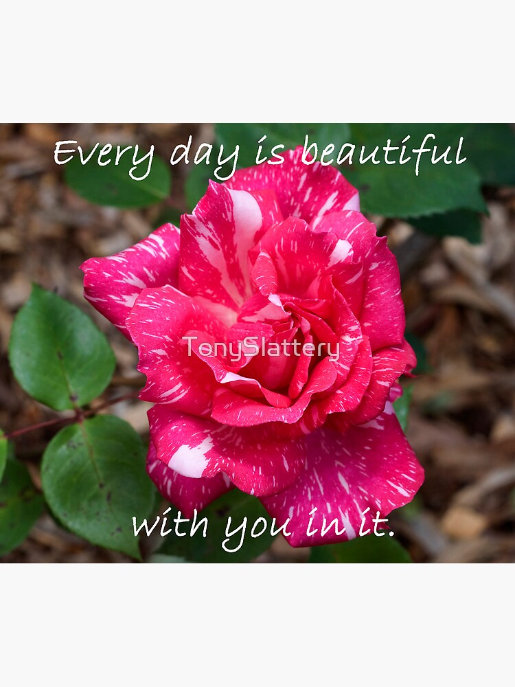 Every day is beautiful by TonySlattery