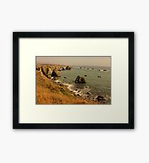 California Framed Print