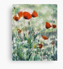 Affection Canvas Print