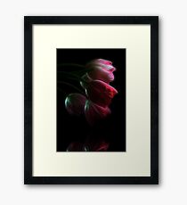 Tulips Reflected Framed Print