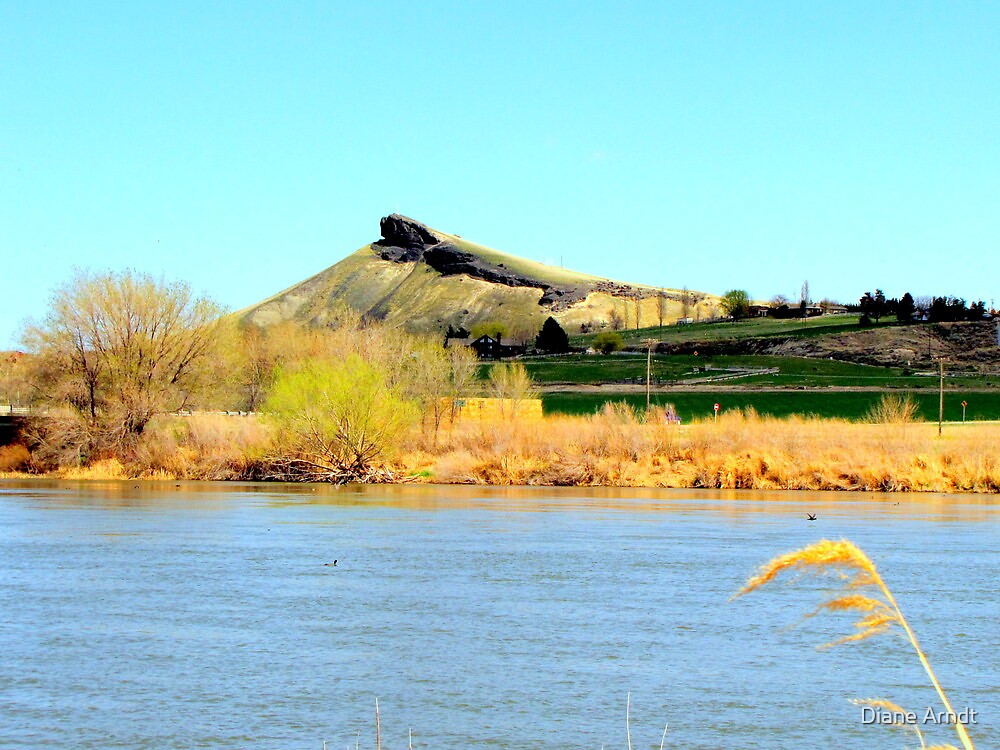 "Lizard Butte....Marsing, Idaho" by Diane Arndt Redbubble