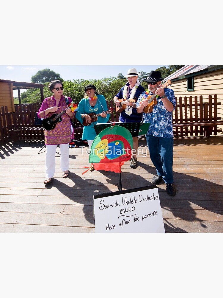 Tilba Festival 2012 by TonySlattery