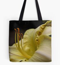 Solarium Tote Bag