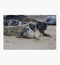 Bundle Photographic Print
