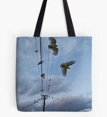 7th April 2012 Tote Bag
