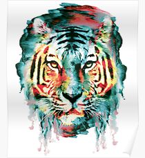 TIGER Poster