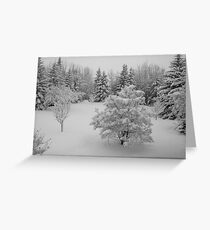 Snow in April, Alberta Canada Greeting Card