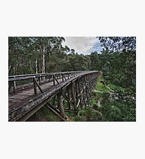 Trestle Bridge Photographic Print