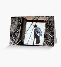 LOOKING FOR AN APARTMENT IN SPRING Greeting Card