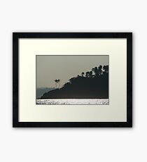 Palm Trees on Monkey Island Framed Print