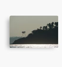 Palm Trees on Monkey Island Canvas Print
