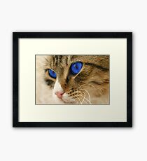 Arrakis Framed Print