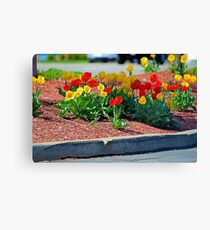 Curbside Garden Canvas Print