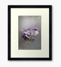 Delicate... Framed Print