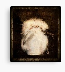 Old Saint Nick Canvas Print