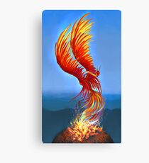 Colours of Fire Canvas Print