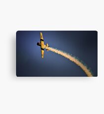 Just Plane Awesome Canvas Print
