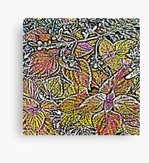 Leaves #7d Canvas Print