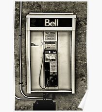 Endangered Species Poster