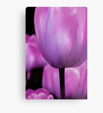 Change Metal Print