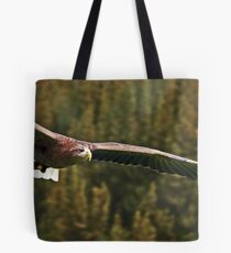 White Tailed Sea Eagle Soaring Tote Bag