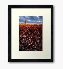 Still Standing Framed Print