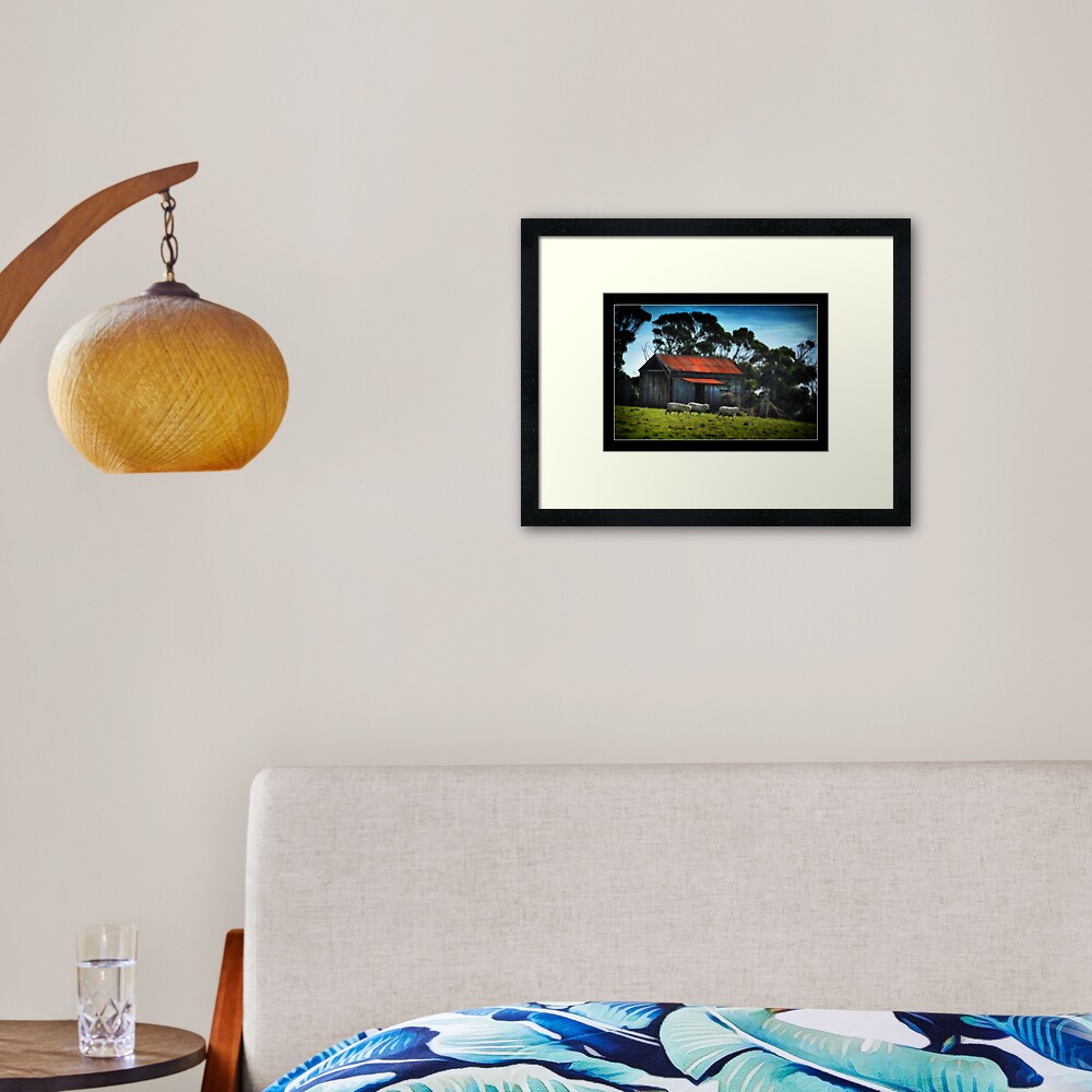 The Old Shed Framed Art Print