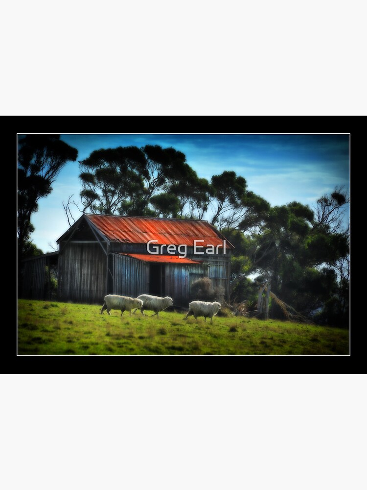 The Old Shed by GregEarl