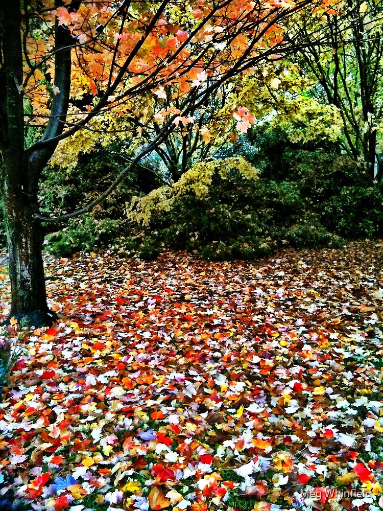 "Autumn In Australia, Victoria. " by Meg Whinfield Redbubble