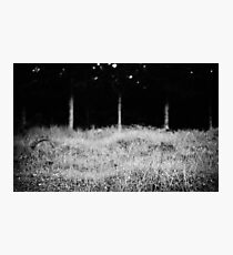 South West Photographic Print