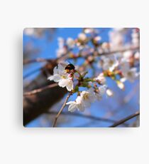 Bee-autiful Canvas Print