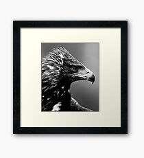 Golden Eye Framed Print