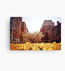 Spring - Park Avenue - New York City Canvas Print