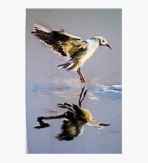Take off Photographic Print