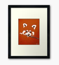 Ailuridae Framed Print