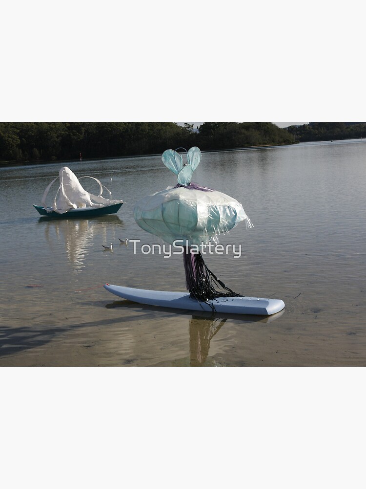 Narooma Oyster Festival by TonySlattery