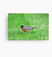 Successful Hunter Metal Print