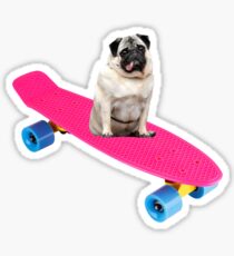 Skater Pug Sticker