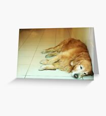 Tired like me Greeting Card
