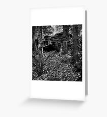 4.11.2015: Abandoned Car II Greeting Card