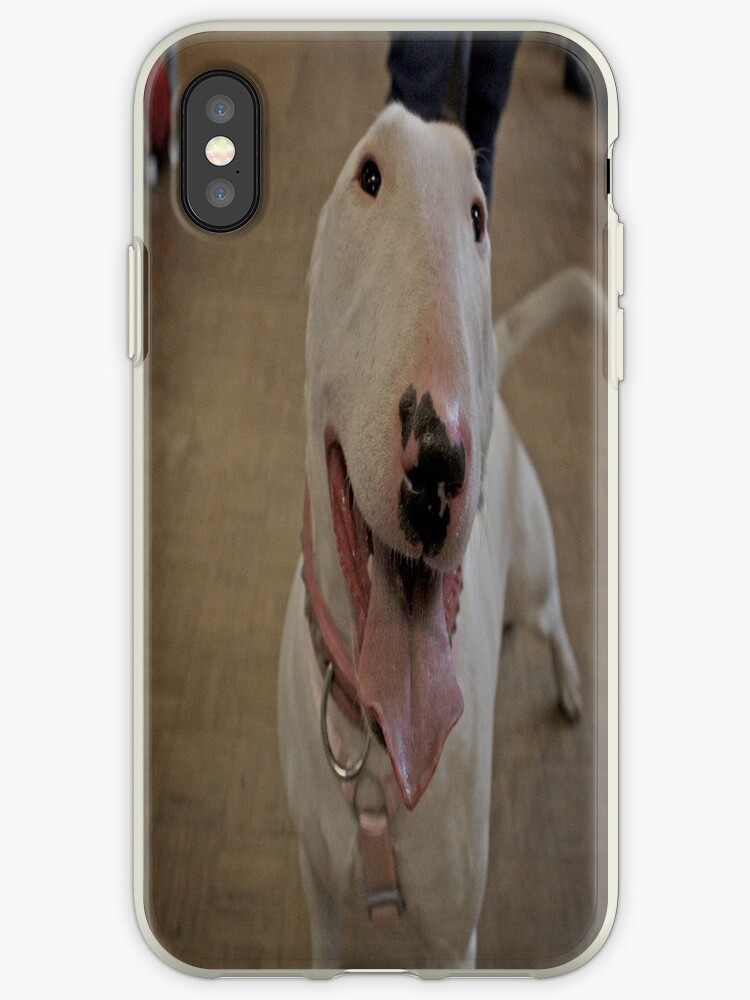 coque iphone 6 bull terrier