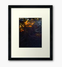tasmanian creek Framed Print